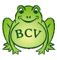 bcv-header-floating-logo-hd